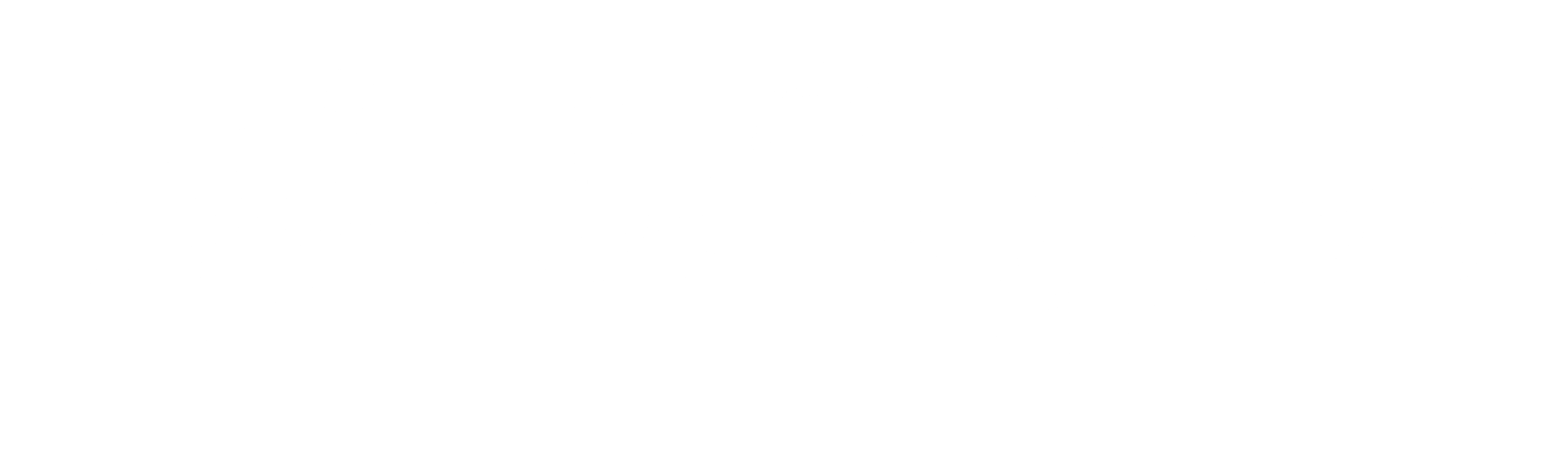 Phoebe Bridgers Merch