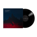 "Punisher" black vinyl record with a dark cover featuring a silhouette of a Phoebe Bridgers in red light.