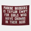 Phoebe Bridgers Is Taylor Swift For Girls Who Have Tapestry Official Phoebe Bridgers Merch