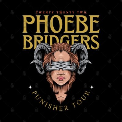 Phoebe Bridgers Punisher Illustration In Album Fan Tapestry Official Phoebe Bridgers Merch