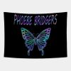 Phoebe Bridgers Tapestry Official Phoebe Bridgers Merch