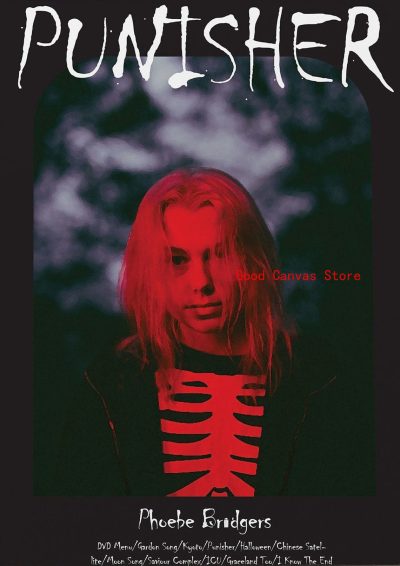 Singer Phoebe Bridgers Posters Music Album Hot Song Canvas Painting HD Print Modern Wall Art Pictures 14 - Phoebe Bridgers Store